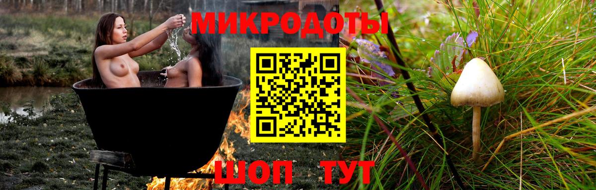 Галлюциногенные грибы Cubensis  Вход с VPN  Кувандык 